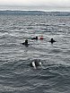 Wochenende am Bodensee 2026