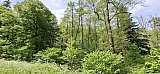 Wanderung am 10.05.26 bei Bad Herrenalb