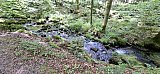 Wanderung am 10.05.26 bei Bad Herrenalb
