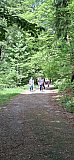 Wanderung am 10.05.26 bei Bad Herrenalb