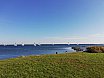 Grevelinger Meer 2018