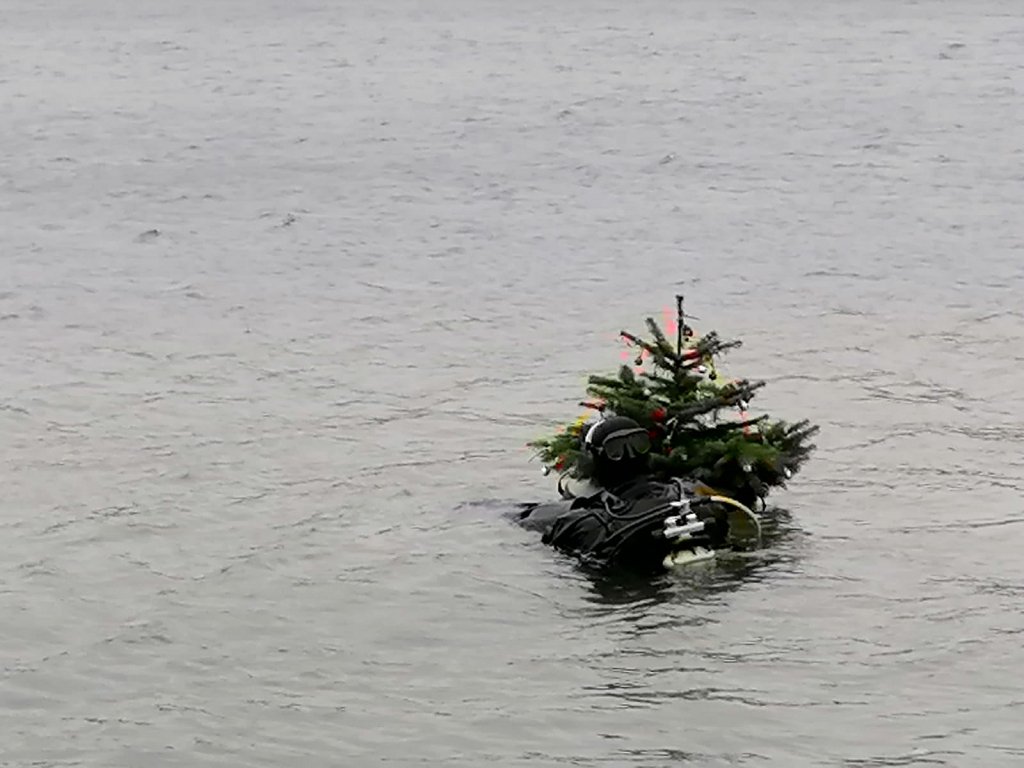 Nikolaustauchen 2019